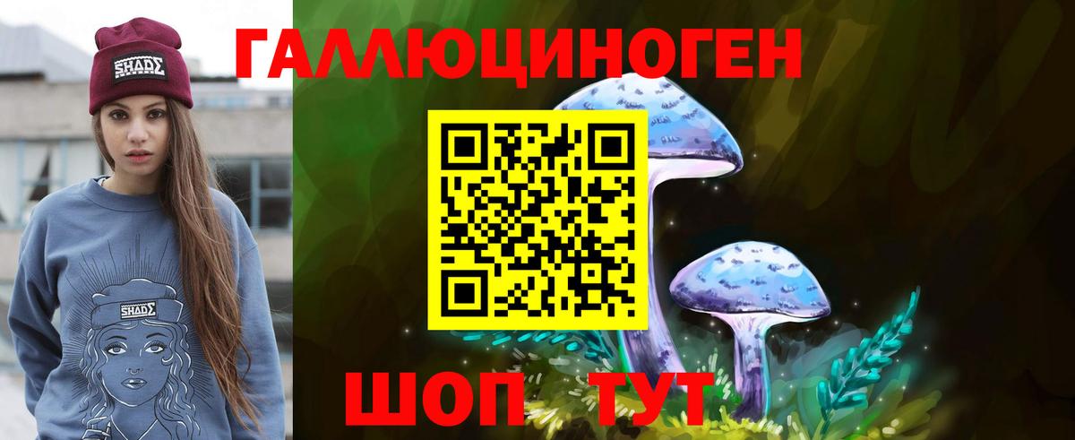 Псилоцибиновые грибы Psilocybe  наркотики  Галлюциногенные грибы мицелий  Еманжелинск  Вход с VPN 