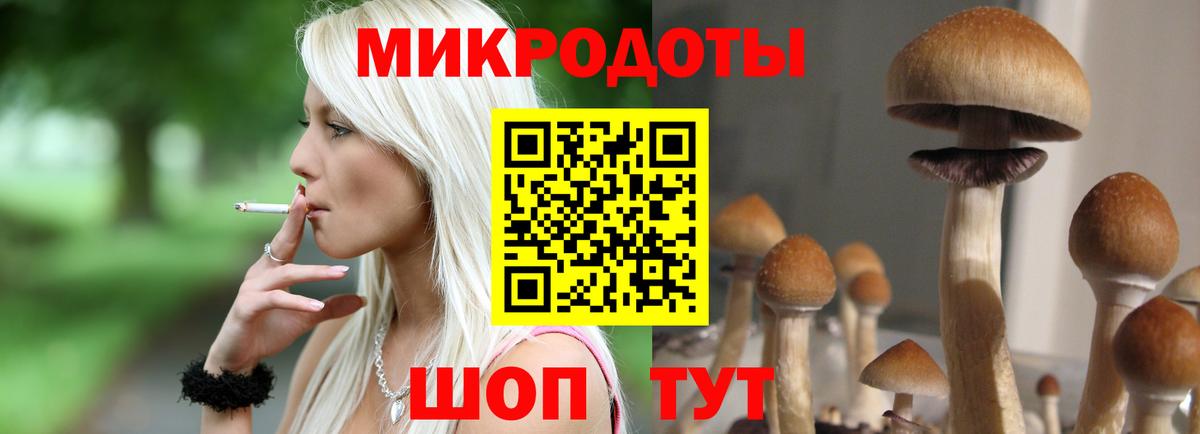 Псилоцибиновые грибы мухоморы Еманжелинск