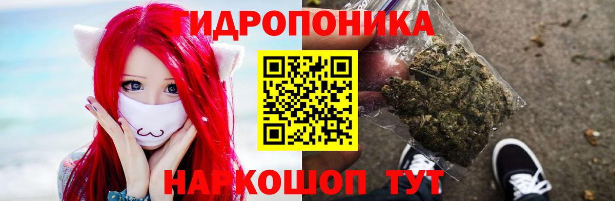 Шишки марихуана тримм  Бошки Шишки конопля  Еманжелинск  Бошки Шишки марихуана  Вход с VPN 